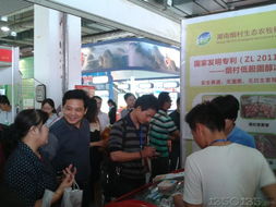 綠葉閃耀第五屆中國(guó)湖南畜牧漁業(yè)暨飼料工業(yè)博覽會(huì)，助推畜牧漁業(yè)飼料銷售創(chuàng)新升級(jí)