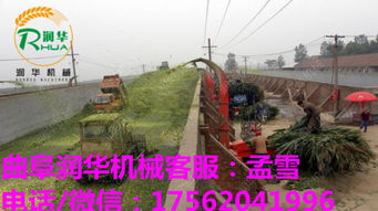 自動(dòng)化浪潮下的畜牧飼料利器 多功能碎草機(jī)與鍘草機(jī)智造升級趨勢解析