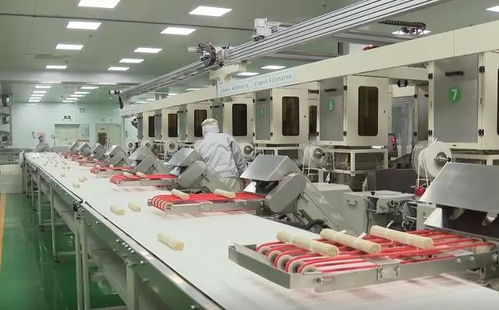 直擊復工首日 山東16市企業(yè)齊頭并進 家用紡織制成品制造大項目引領春潮